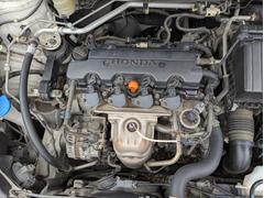 ȥ꡼ ңӣڡر֡Хå顡ѥɥ륷եȡʥ 0541614A30251026W001 7