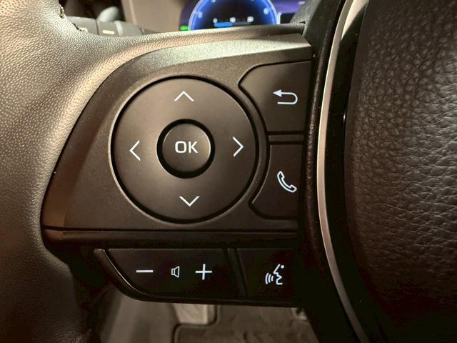 RAV4 アドベンチャー オフロードパッケージII 純正10.5インチナビ パノラミックビューモニター 前席パワーシート シートヒーター シートエアコン デジタルインナーミラー パワーバックドア Bluetooth フルセグTV 純正18インチアルミ(30枚目)