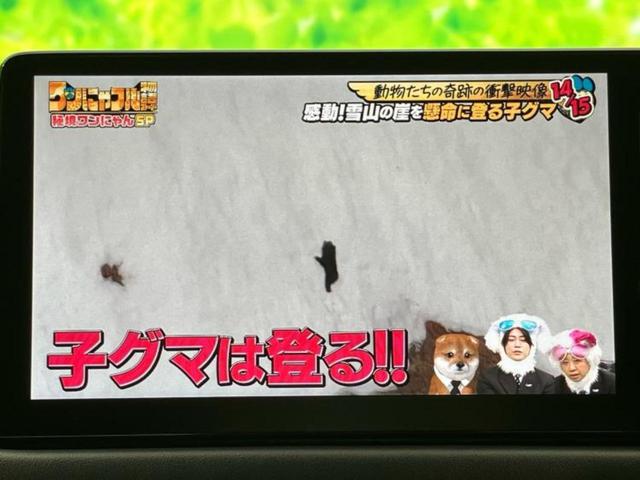 ナビ、ドラレコ、ＥＴＣ、フリップダウンモニター、デジタルインナーミラーｅｔｃ…後付け可能です！オプションも豊富に取り揃えておりますのでご安心ください！