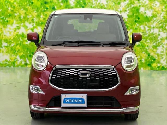 ���Y�Ԃ���A���Ԃ܂ő��l�Ȃ��q�l�̃j�[�Y�̂������ł���悤�ɁA�S���K�͂ŖL�x�ȍ݌ɓW�J�I�Ԃ̂��ƂȂ�v�d�b�`�q�r�ցI