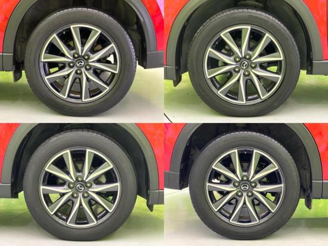 ＷＥＣＡＲＳの展示場では実際に見て、触ってお車をお選びいただけます！知識の豊富な営業スタッフが様々なカーライフをご提案いたします！