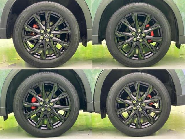 ＷＥＣＡＲＳの展示場では実際に見て、触ってお車をお選びいただけます！知識の豊富な営業スタッフが様々なカーライフをご提案いたします！