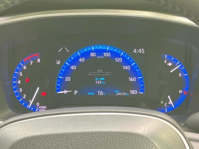 �v�d�b�`�q�r�̓W����ł͎��ۂɌ��āA�G���Ă��Ԃ����I�т��������܂��I�m���̖L�x�ȉc�ƃX�^�b�t���l�X�ȃJ�[���C�t������Ă������܂��I