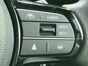 ヒョウジュン　純正　８インチ　メモリーナビ／ホンダセンシング／電動スライドドア／シートヒーター　前席／車線逸脱防止支援システム／ヘッドランプ　ＬＥＤ／ＵＳＢジャック／Ｂｌｕｅｔｏｏｔｈ接続／ＥＴＣ　バックカメラ（44枚目）