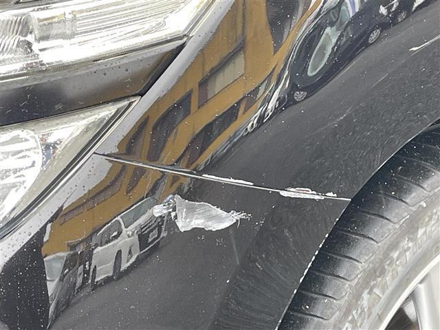 エルグランド 250ハイウェイスター 7人乗 ブラック フリップダウンモニター 純正HDDナビ フルセグ 全周囲カメラ BTオーディオ DVD CD(20枚目)