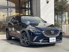 ãءݣ ʥӡ롼ȥ롡ѥɥ륷եȡ֥饤ɥݥåȥ˥ 0541641A20240217J002 3