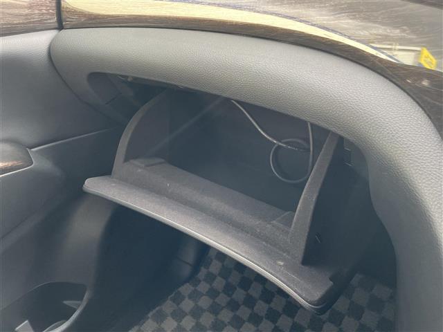 エルグランド 250ハイウェイスター バックカメラ/プッシュスタート/後席サンシェード/横滑り防止装置/オットマン/スマートキー/スペアキー×1/ビルトインETC/オットマン/電動格納ミラー(29枚目)