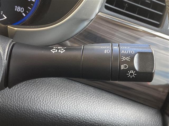 エルグランド ２５０ハイウェイスターＳ　アーバンクロム　純正ＨＤＤナビ　フルセグＴＶ　Ｂｌｕｅｔｏｏｔｈ接続　ＣＤ　ＤＶＤ　両側パワースライドドア　純正フリップダウンモニター　３６０°カメラ　クルーズコントロール　ＥＴＣ　前後コーナーセンサー　ＬＥＤライト（12枚目）