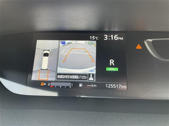 セレナ ライダー（11枚目）