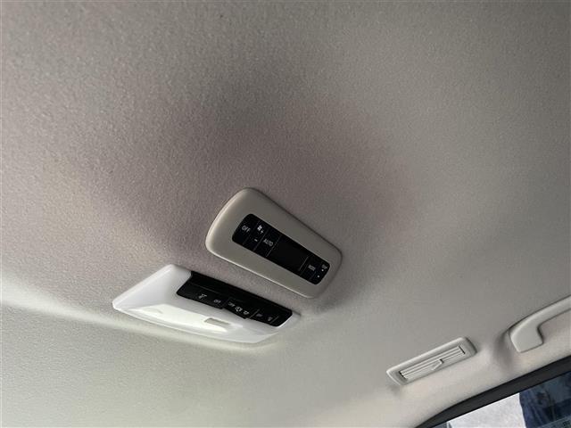 セレナ ライダー（18枚目）