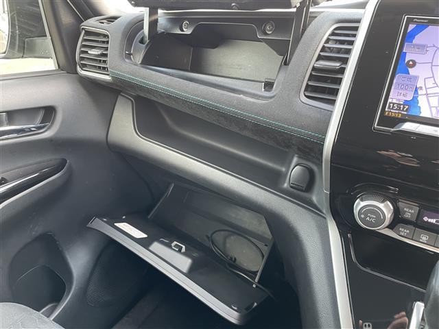 セレナ ライダー（27枚目）