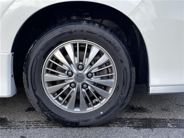 セレナ ライダー（36枚目）