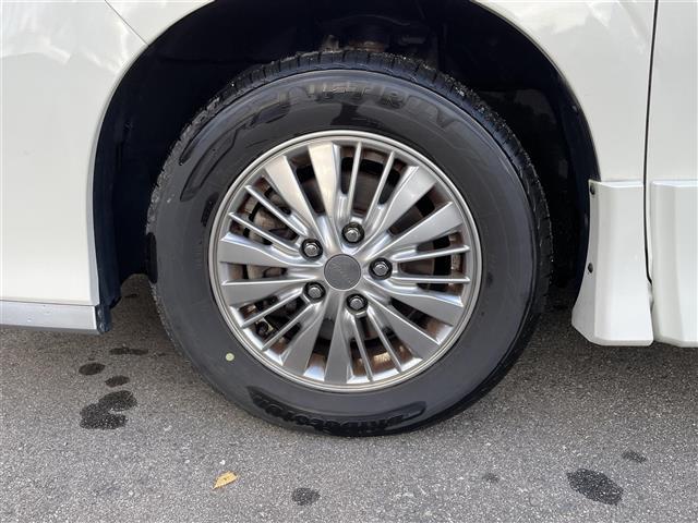 セレナ ライダー（38枚目）