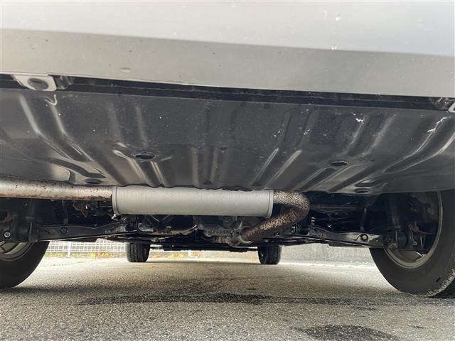 セレナ ライダー（41枚目）