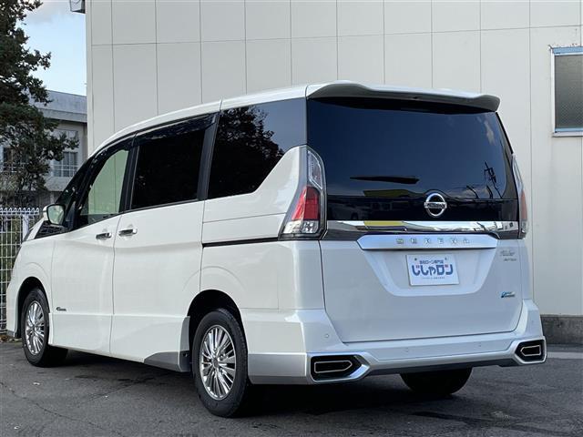 セレナ ライダー（43枚目）