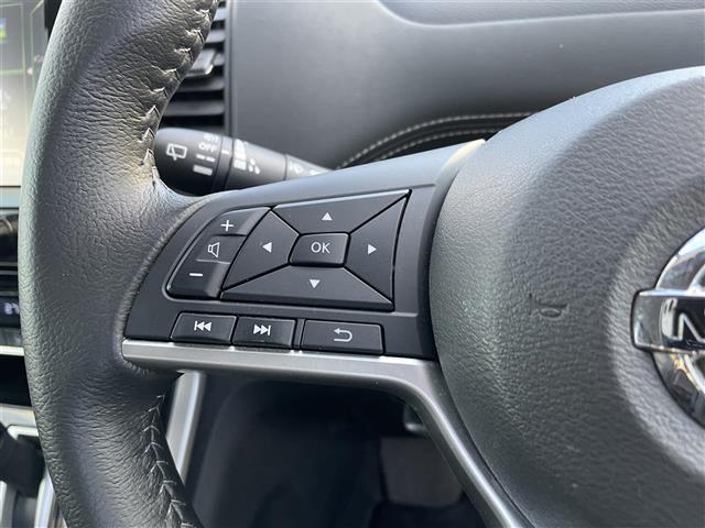 セレナ ハイウェイスター　純正ＳＤナビ／フルセグテレビ／バックカメラ／革巻ステアリング／ステアリングリモコン／クルーズコントロール／ドライブレコーダー／ドアバイザー／ヘッドライトレベライザー（23枚目）