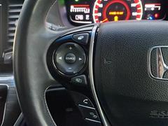 ǥå ֥롼ȡţءʥӡХå顡ƥ󥰥å 0541645A20251031J004 5