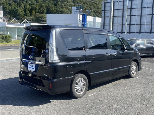 セレナ ライダー　Ｂライン　Ａセーフティ（18枚目）