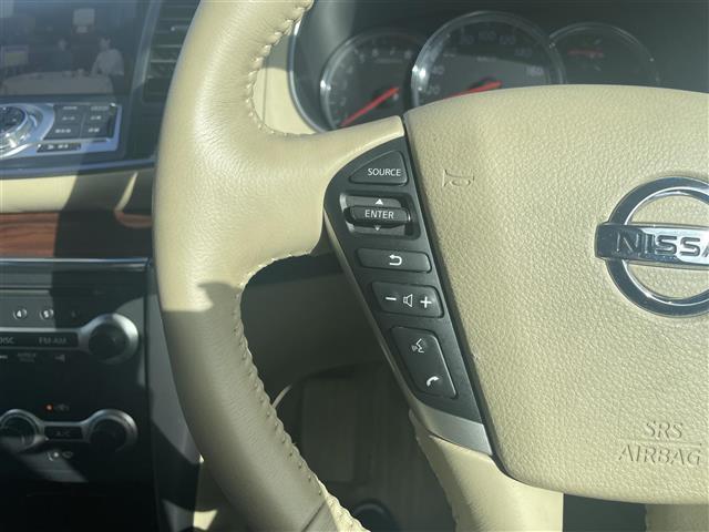 ティアナ ２５０ＸＬ（8枚目）