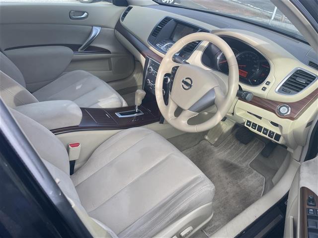 ティアナ ２５０ＸＬ（17枚目）