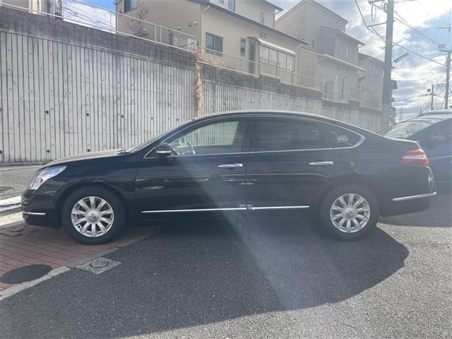 ティアナ ２５０ＸＬ（31枚目）