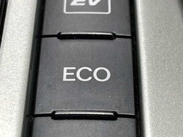 プリウスアルファ Ｓツーリングセレクション　純正ＳＤナビ　バックカメラ　禁煙車　ＬＥＤヘッド　ＥＴＣ　純正１７インチアルミ　Ｂｌｕｅｔｏｏｔｈ　フルセグ　コーナーガード前後（41枚目）