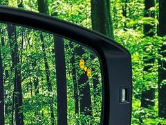 �ڥ��ӡ�����ǥ��ƥ��������������桢�ɥ��ߥ顼�λ�Ѥˤʤ�䤹���ս�˸�³�֤��᤹ܶ��ȥ����ɥߥ顼�ն�˷ٹ��ɽ�����ɥ饤�С������մ����ȡ�����κݤϥϥ�ɥ����򥢥����Ȥ򤷤ޤ��� 4