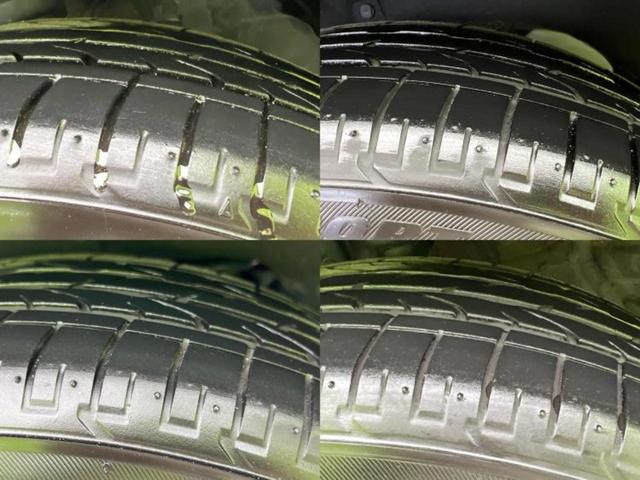 �u���̎Ԃ̎ʐ^�������ƌ������v�u��Ԃ��C�ɂȂ�v�u���̑����͂��Ă���H�v�ǂ�ȏ����ȋ^��ł����C�y�ɂ��₢���킹���������I