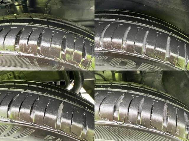 �u���̎Ԃ̎ʐ^�������ƌ������v�u��Ԃ��C�ɂȂ�v�u���̑����͂��Ă���H�v�ǂ�ȏ����ȋ^��ł����C�y�ɂ��₢���킹���������I