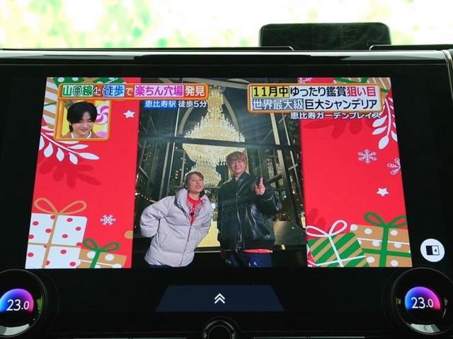 アルファードハイブリッド ４ＷＤハイブリッドＺ　サンルーフ／保証書／ディスプレイオーディオ＋ナビ／デジタルインナーミラー／衝突安全装置／両側電動スライドドア／シートヒーター／全方位モニター／車線逸脱防止支援システム／シート　合皮　全周囲カメラ（12枚目）