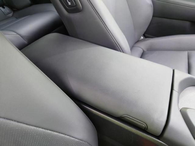 �u���̎Ԃ̎ʐ^�������ƌ������v�u��Ԃ��C�ɂȂ�v�u���̑����͂��Ă���H�v�ǂ�ȏ����ȋ^��ł����C�y�ɂ��₢���킹���������I