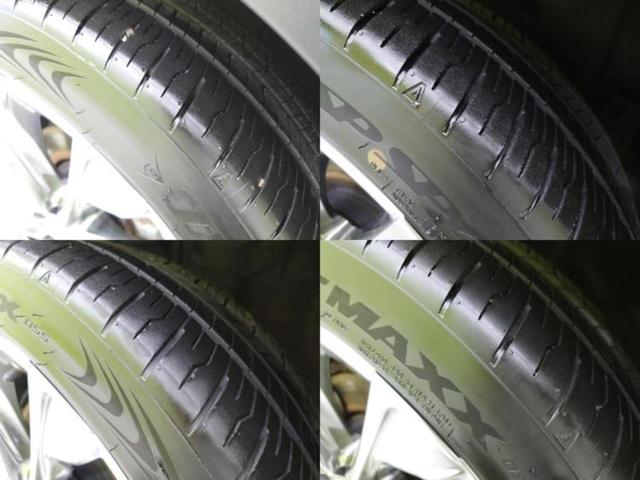 �u���̎Ԃ̎ʐ^�������ƌ������v�u��Ԃ��C�ɂȂ�v�u���̑����͂��Ă���H�v�ǂ�ȏ����ȋ^��ł����C�y�ɂ��₢���킹���������I