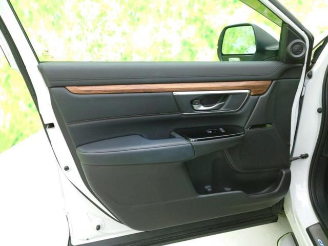 �u���̎Ԃ̎ʐ^�������ƌ������v�u��Ԃ��C�ɂȂ�v�u���̑����͂��Ă���H�v�ǂ�ȏ����ȋ^��ł����C�y�ɂ��₢���킹���������I