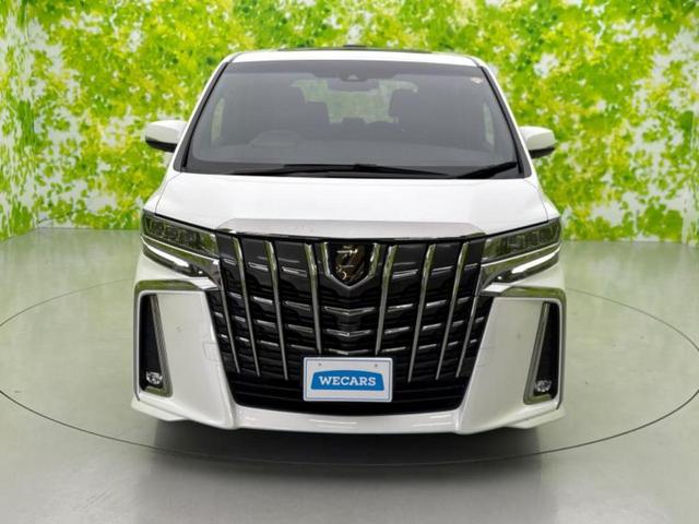 アルファード Ｓタイプゴールド２　新品タイヤ／サンルーフ／ＪＢＬ／保証書／純正　ＳＤナビ／フリップダウンモニター／デジタルインナーミラー／衝突安全装置／両側電動スライドドア／車線逸脱防止支援システム／シート　ハーフレザー　バックカメラ（49枚目）