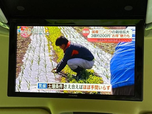 ご購入後の車検やメンテナンスもWECARSにお任せください!自社で整備から修理まで行っておりますので、ご納車後のアフターフォローもお任せください!