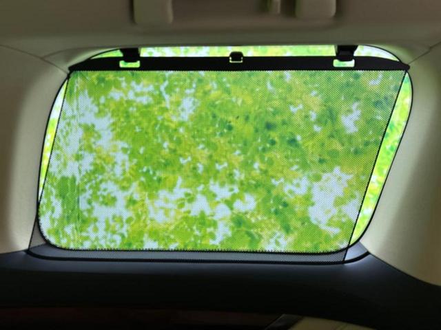 国産車から輸入車まで多様なお客様のニーズのお応えできるように、全国規模で豊富な在庫展開!車のことならWECARSへ!