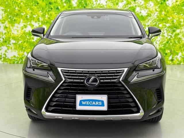 NX NX300h Iパッケージ 新品タイヤ/純正 10インチ SDナビ/プリクラッシュセーフティ/シートヒーター/車線逸脱防止支援システム/シート 合皮/電動バックドア/ヘッドランプ LED/Bluetooth接続/ETC 記録簿(44枚目)