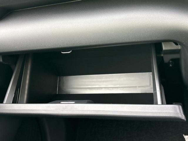 ライズ Ｚ　保証書／ディスプレイオーディオ９インチ／スマートアシスト（トヨタ・ダイハツ）／シートヒーター　前席／パノラミックビューモニター／車線逸脱防止支援システム／登録済未使用車　衝突被害軽減システム　ＴＶ（31枚目）