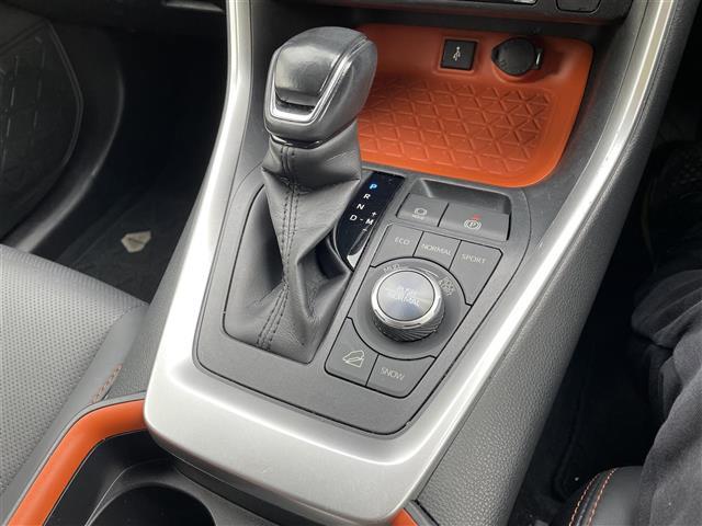 RAV4 アドベンチャー 純正ディスプレイオーディオ バックカメラ LEDヘッドライト ETC ブラインドスポットモニター LEDヘッドライト スマートキー プッシュスタート 電動ミラー レーダークルーズ(14枚目)