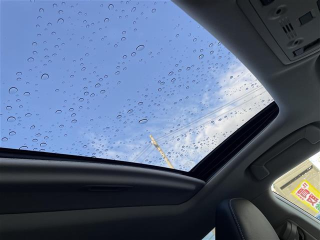 ＩＳ ＩＳ２５０　純正ナビ　フルセグＴＶ　バックカメラ　ＬＥＤライト　ＥＴＣ　ハーフレザーシート　サンルーフ　スマートキー　クルーズコントロール　社外アルミホイール（21枚目）