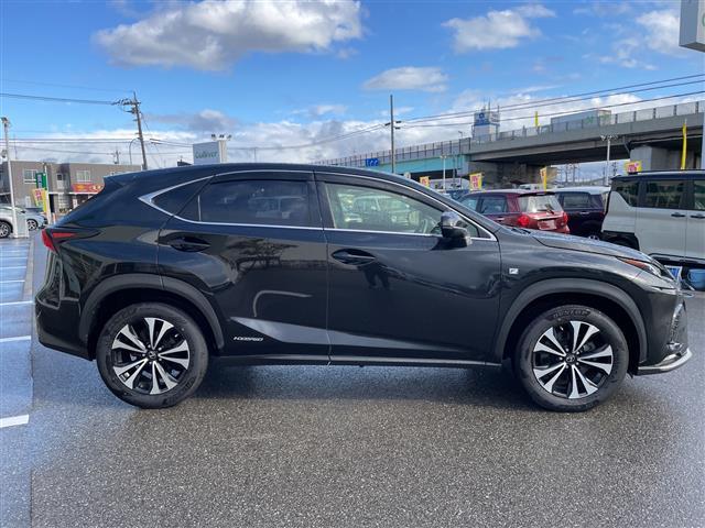 NX NX300h Fスポーツ 4WD 純正ナビ フルセグTV バック&サイドカメラ パワーバックドア 黒革シート シートヒーター&クーラー レーダークルーズ 衝突軽減ブレーキ アルミホイール コーナーセンサー スマートキー(30枚目)