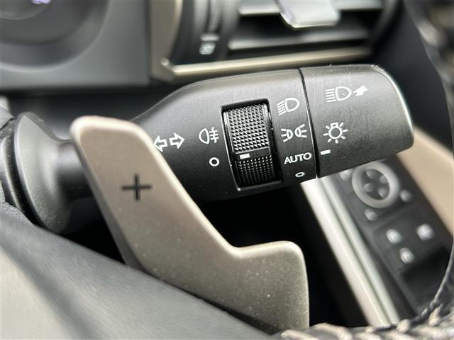 ＩＳ ＩＳ３００ｈ　バージョンＬ　４ＷＤ　純正ナビ　フルセグＴＶ　バックカメラ　革シート　サンルーフ　純正アルミホイール（13枚目）