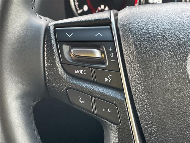 アルファード ２．５Ｓ　タイプゴールド　純正ディスプレイオーディオ　フルセグＴＶ　ナビ　バックカメラ　ＬＥＤヘッドライト　ＥＴＣ　ドラレコ　レーダークルーズ　サンルーフ　ハーフレザーシート　トヨタセーフティセンス　パワーバックドア（10枚目）