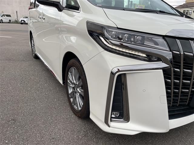 アルファード ２．５Ｓ　タイプゴールド　純正ディスプレイオーディオ　フルセグＴＶ　ナビ　バックカメラ　ＬＥＤヘッドライト　ＥＴＣ　ドラレコ　レーダークルーズ　サンルーフ　ハーフレザーシート　トヨタセーフティセンス　パワーバックドア（23枚目）