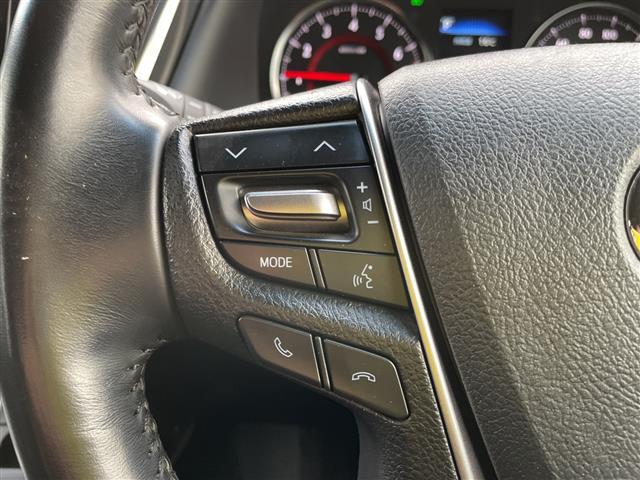 アルファード ２．５Ｓ　タイプゴールド　純正ディスプレイオーディオ　ナビ　フルセグ　バックカメラ　サンルーフ　ＬＥＤヘッドライト　ビルトインＥＴＣ　パワーバックドア　両側パワスラ　ハーフレザーシート　セーフティセンス　レーダークルーズ（12枚目）