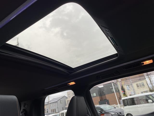 アルファード ２．５Ｓ　タイプゴールド　純正ディスプレイオーディオ　ナビ　フルセグ　バックカメラ　サンルーフ　ＬＥＤヘッドライト　ビルトインＥＴＣ　パワーバックドア　両側パワスラ　ハーフレザーシート　セーフティセンス　レーダークルーズ（18枚目）