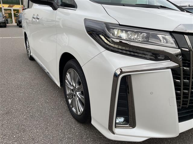 アルファード ２．５Ｓ　タイプゴールド　純正ディスプレイオーディオ　ナビ　フルセグ　バックカメラ　サンルーフ　ＬＥＤヘッドライト　ビルトインＥＴＣ　パワーバックドア　両側パワスラ　ハーフレザーシート　セーフティセンス　レーダークルーズ（24枚目）