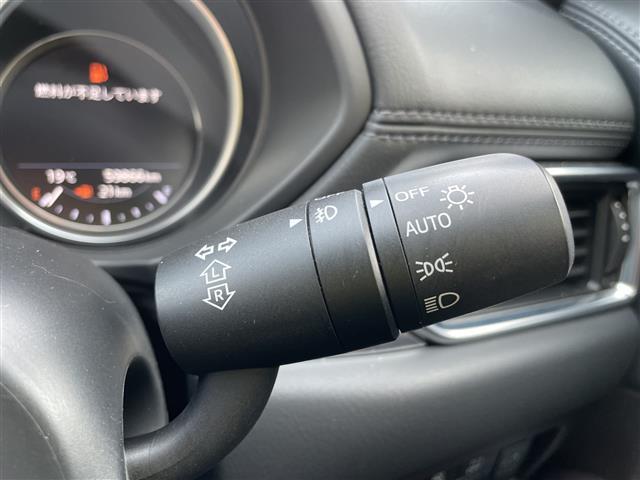 ＣＸ－８ ＸＤ　Ｌパッケージ　純正メモリーナビ　フルセグＴＶ　バックカメラ　ＬＥＤヘッドライト　スマートキー　レザーシート　パワーバックドア　スマートキー　レーダークルーズ　シートヒーター　ＢＳＭ　純正アルミホイール（18枚目）