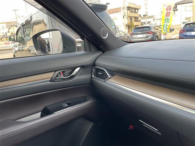 ＣＸ－８ ＸＤ　Ｌパッケージ　純正メモリーナビ　フルセグＴＶ　バックカメラ　ＬＥＤヘッドライト　スマートキー　レザーシート　パワーバックドア　スマートキー　レーダークルーズ　シートヒーター　ＢＳＭ　純正アルミホイール（24枚目）