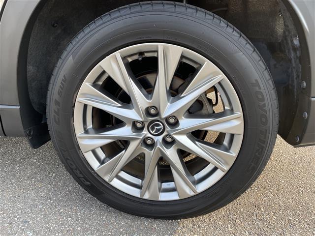 ＣＸ－８ ＸＤ　Ｌパッケージ　純正メモリーナビ　フルセグＴＶ　バックカメラ　ＬＥＤヘッドライト　スマートキー　レザーシート　パワーバックドア　スマートキー　レーダークルーズ　シートヒーター　ＢＳＭ　純正アルミホイール（32枚目）